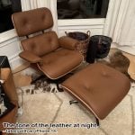 The tone of the leather at night – taken with an iPhone 14. The tone of the leather at night – taken with an iPhone 14.